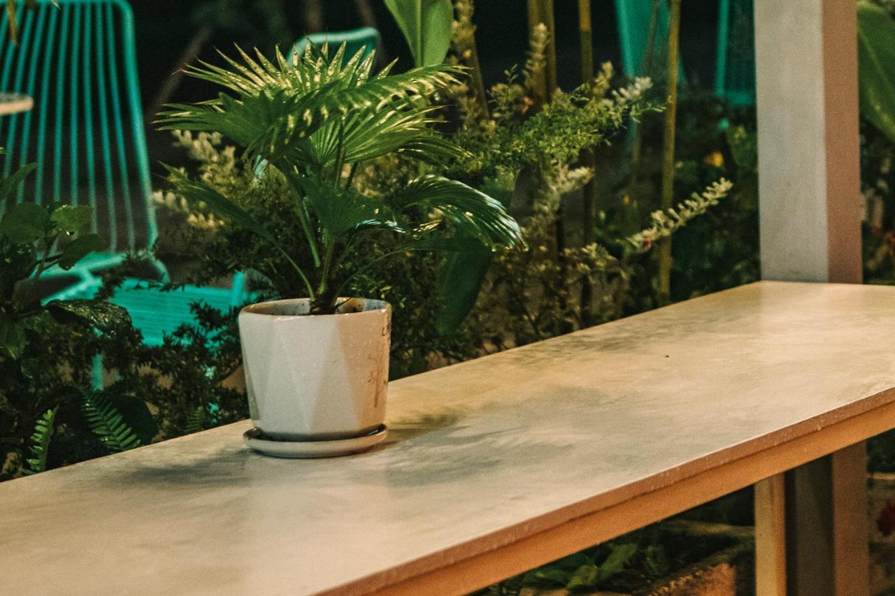 Dai Duong La Gi Homestay & Coffee Ngoại thất bức ảnh